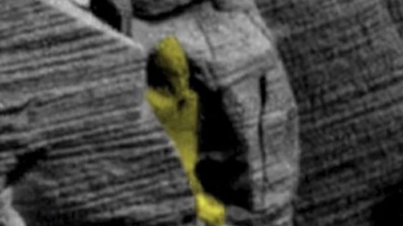 Древние египтяне прилетели с Марса: уфолог нашел на снимке Красной планеты «саркофаг»