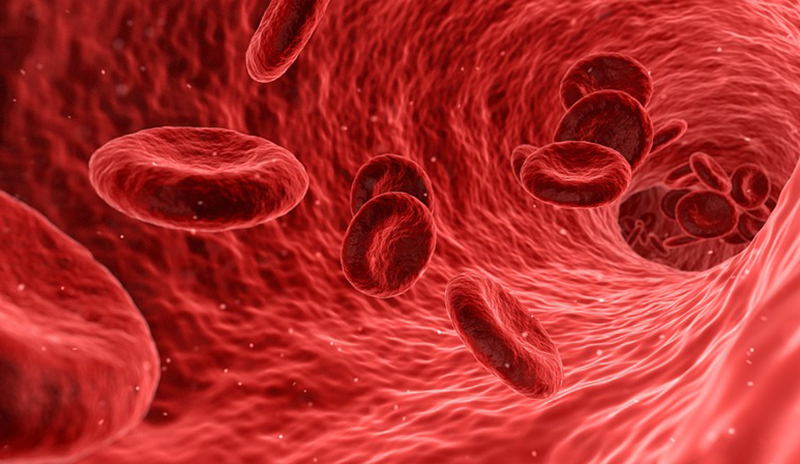 Ученые нашли способ определить по анализу крови, умрет ли человек в ближайшие 10 лет