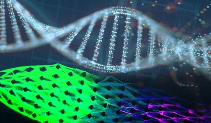 Машины, созданные на основе ДНК показывают признаки жизни — они могут есть и расти