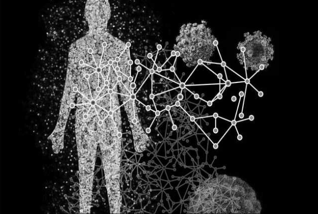 Ученые создали детальную карту, показывающую, как вирусы заражают человека