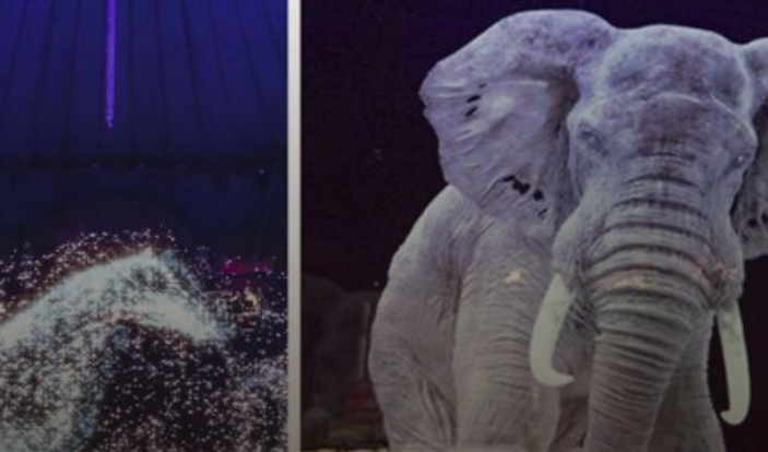 В немецком цирке на арене вместо животных выступают голограммы