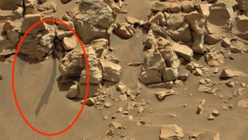 Марсоход Curiosity нашел на Марсе воду: эксперт сделал важное заявление