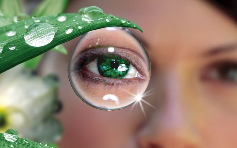 Средства улучшения зрения и 40 фактов о глазах, которые вы не знали