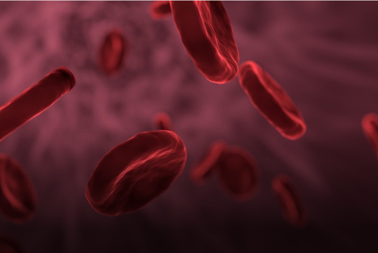 Учёные назвали группу крови долгожителей и тех, кому повезло меньше