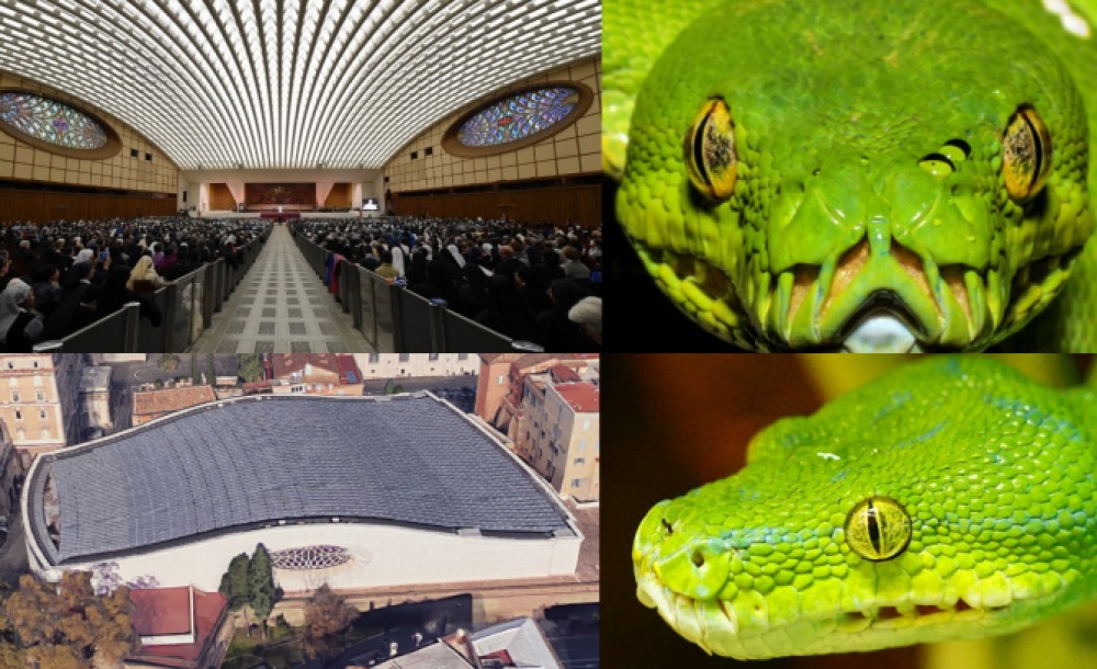 Змееголовый конференц-зал Папы Римского