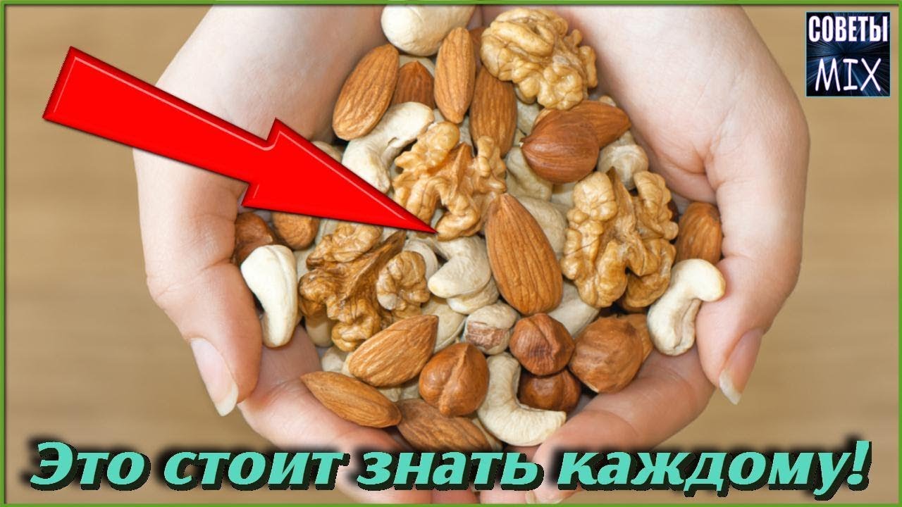 Это стоит знать! Самые полезные орехи, которые стоит есть каждый день с пользой для здоровья