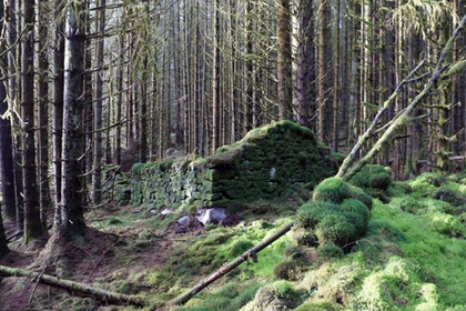 Раскрыта тайна затерянного в лесах загадочного сооружения