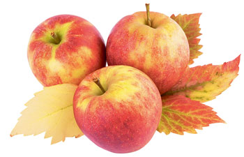Готовим из яблок: Плеснем в серый день цветных красок