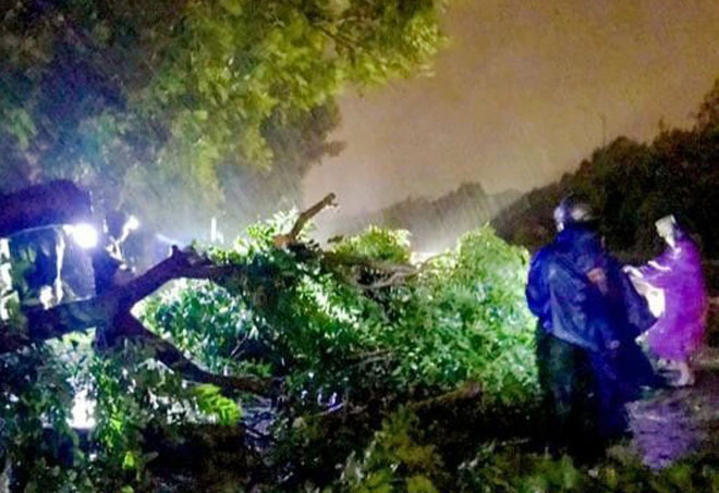 Тропический шторм «Матмо» обрушился на Вьетнам: повалены деревья, повреждены крыши домов