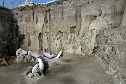Найдено первое в истории кладбище гигантских вымерших существ