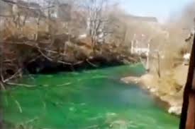 Почему река во Владивостоке стала зеленой?
