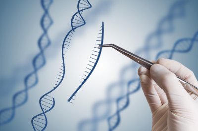 ГМО человечество близко?
