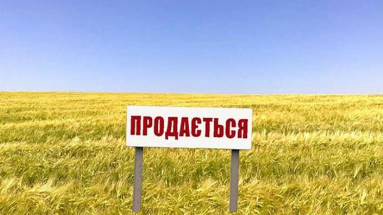 Консервация нищеты. Как изменит украинское село продажа земли