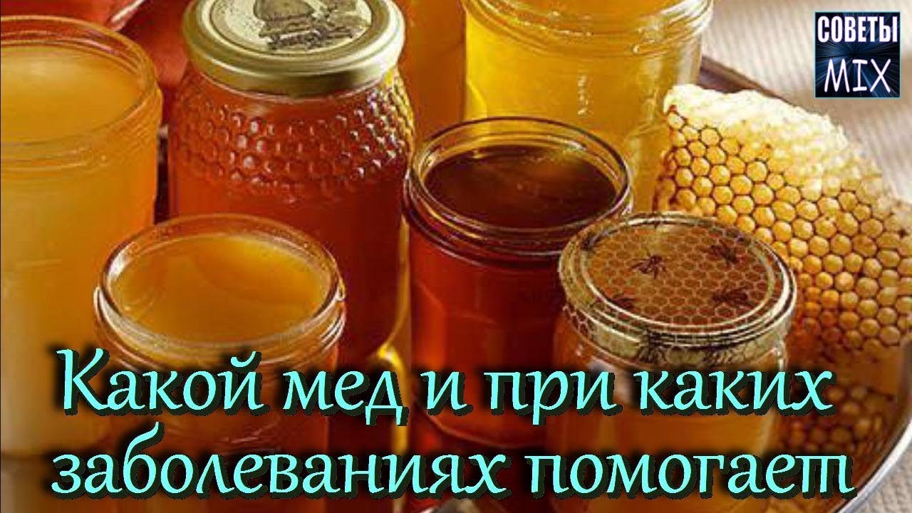 Виды меда Какой мед и при каких заболеваниях помогает Целебные свойства и польза меда